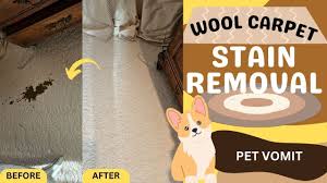 wool carpet stain removal pet vomit