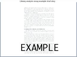Interpretation Essay Example Literary Essays Examples Book Analysis