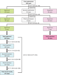 Flow Chart Of 264 Eyes 229 Patients With Neovascular Age
