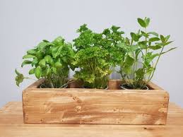 Rustic Wooden Herb Box Window Sill