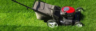 Get Creative With Lawn Mowing Patterns