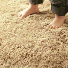 what is plush pile carpets advanes