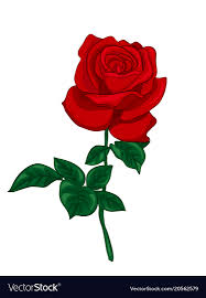 single red rose royalty free vector