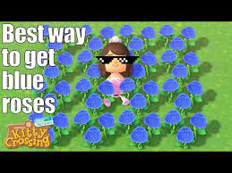 best way to get blue roses easy guide