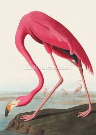 Pink Flamingo Print Wallsauce Uk