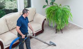 carpet cleaning services in hull