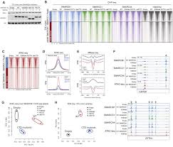 Recurrent Smarcb1 Mutations Reveal A Nucleosome Acidic Patch
