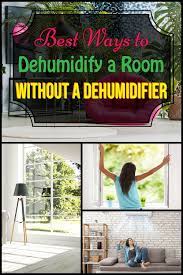 best ways to dehumidify a room without