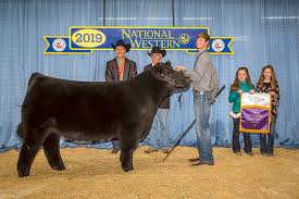National Western Stock Show And Rodeo The Best 16 Days In