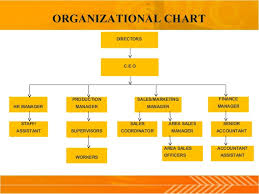 Company Management Structure Exact Organisation Chart For A