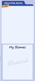 Build A Biome