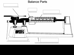 triple beam balance parts diagram quizlet