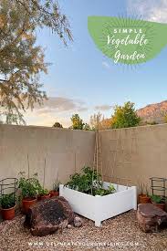 Create A Simple Raised Vegetable Garden