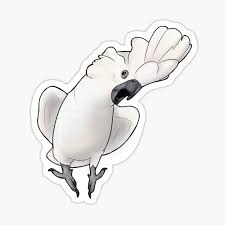 Discover the magic of the internet at imgur, a community powered entertainment destination. Cockatoo Stickers Redbubble