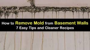 Remove Mold From Basement Walls