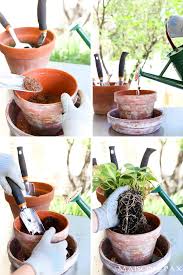 5 Best Gardening Tools All Available