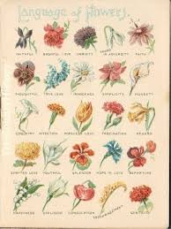 Floral Symbolism Chart Date Unknown By Alisha Flower