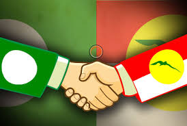 Image result for pas and umno