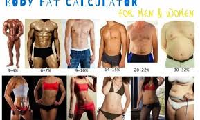 calorie calculator to lose or gain