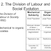 Sociology Durkheim Organic Solidarity