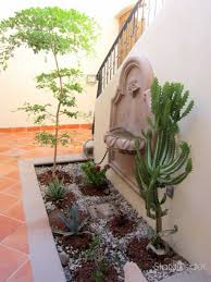 Ideas For A Desert Courtyard Garden