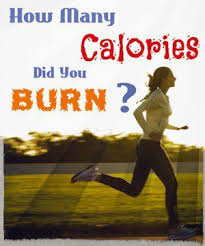 Calories Burned Exercise Calculator