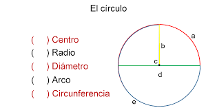 el perímetro y área del círculo nueva