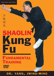 shaolin kung fu fundamental training