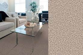 trafficmaster carpet reviews and costs