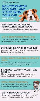 how to remove dog smell and stains