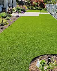 Antimicrobial Artificial Grass For Dogs