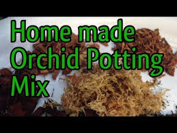 my home made orchid potting mi
