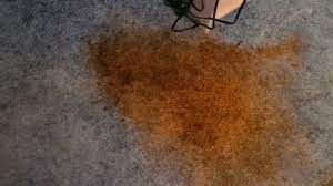 how to remove orange dye from carpet