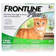 Frontline Vs Advantage For Cats Petcarerx