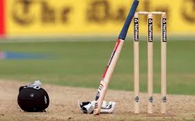In times of 'austerity': Lawmakers off to London to play cricket – Pakistan  Today