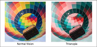 color vision deficiency chart2020