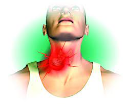 Your throat is a muscular tube that begins behind your nose and ends in your neck. Dockyard Throat Cancer Has High Survival Rate