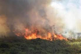 . el satélite aqua de la nasa capturó una imagen de los incendios en la patagonia. Combaten Incendios Forestales En Patagonia En Epuyen Ya Afectaron 1350 Hectareas Servicio De Prensa Forestal