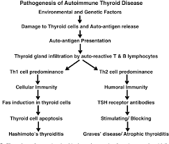 Figure 2 From Autoimmune Thyroid Disease Mechanism