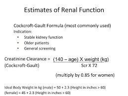 Renal Function Powerpoint Presentation