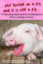 house just a pig with lipstick