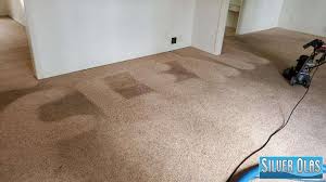 carpet cleaning service in carlsbad ca