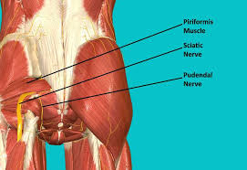 pudendal neuralgia causes diagnosis