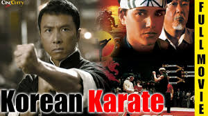 korean karate full hindi dubbed