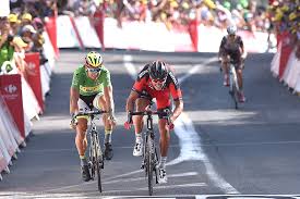 Image result for tour de france 2015 days ago