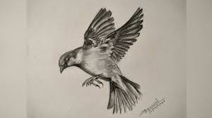 sparrow drawing how to draw flying
