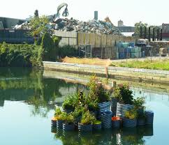 A Garden Grows in Brooklyn: An Experimental Landscape Thrives in  Notoriously Polluted Gowanus Canal | Rice Design Alliance