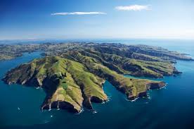 Image result for wainui caMp