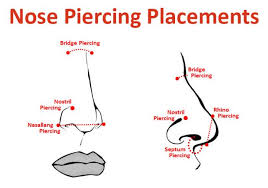 Nose Piercing Diagram Taunton Tattoo Co Piercings Ear