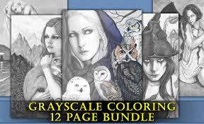 fantasy art grayscale color book pages
